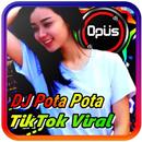 Dj Pota Pota Remix APK