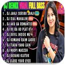 Dj janji seribu janji offline APK