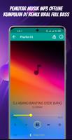 Dj janji seribu janji offline تصوير الشاشة 2