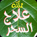مملكة علاج السحر الروحانية APK
