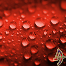 Dew Drops Red Theme Xperien APK