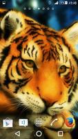 Silent Beast Xperien Theme постер