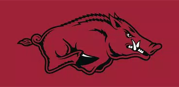 Arkansas Razorbacks