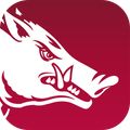 Arkansas Razorbacks Gameday