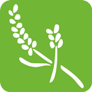 Guia de Aromaterapia APK
