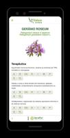 Guia de Aromaterapia Ekran Görüntüsü 3
