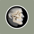 AROMS - Advancing OMS