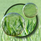 Magic Bubbles icon