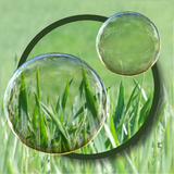 Magic Bubbles icône