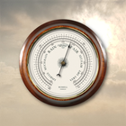 ikon Accurate Barometer