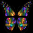 Butterfly Net