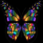 Butterfly Net 图标