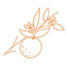 Citrus Gardens APK