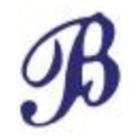 Briarcliffe RV Resort icon
