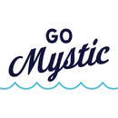 Go Mystic APK