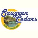 Saugeen Cedars APK
