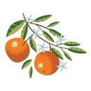 Sweet Citrus Acres APK