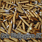 Gun Wallpapers biểu tượng