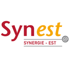 Synest App icône