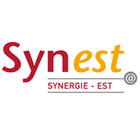 Synest App 圖標