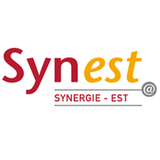 Synest App icon