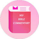 NIV Bible Notes APK