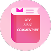 NIV Bible Notes APK