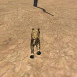 Cheetah simulator