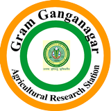 Gram Ganganagar icône