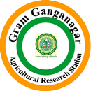 Gram Ganganagar APK