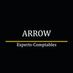 Arrow Experts Comptables icon