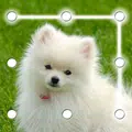 犬のパターンロッカー