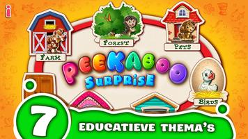 Peekaboo! Educatief spel-poster