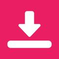 Story & Status Saver