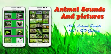 100 sonidos de animales