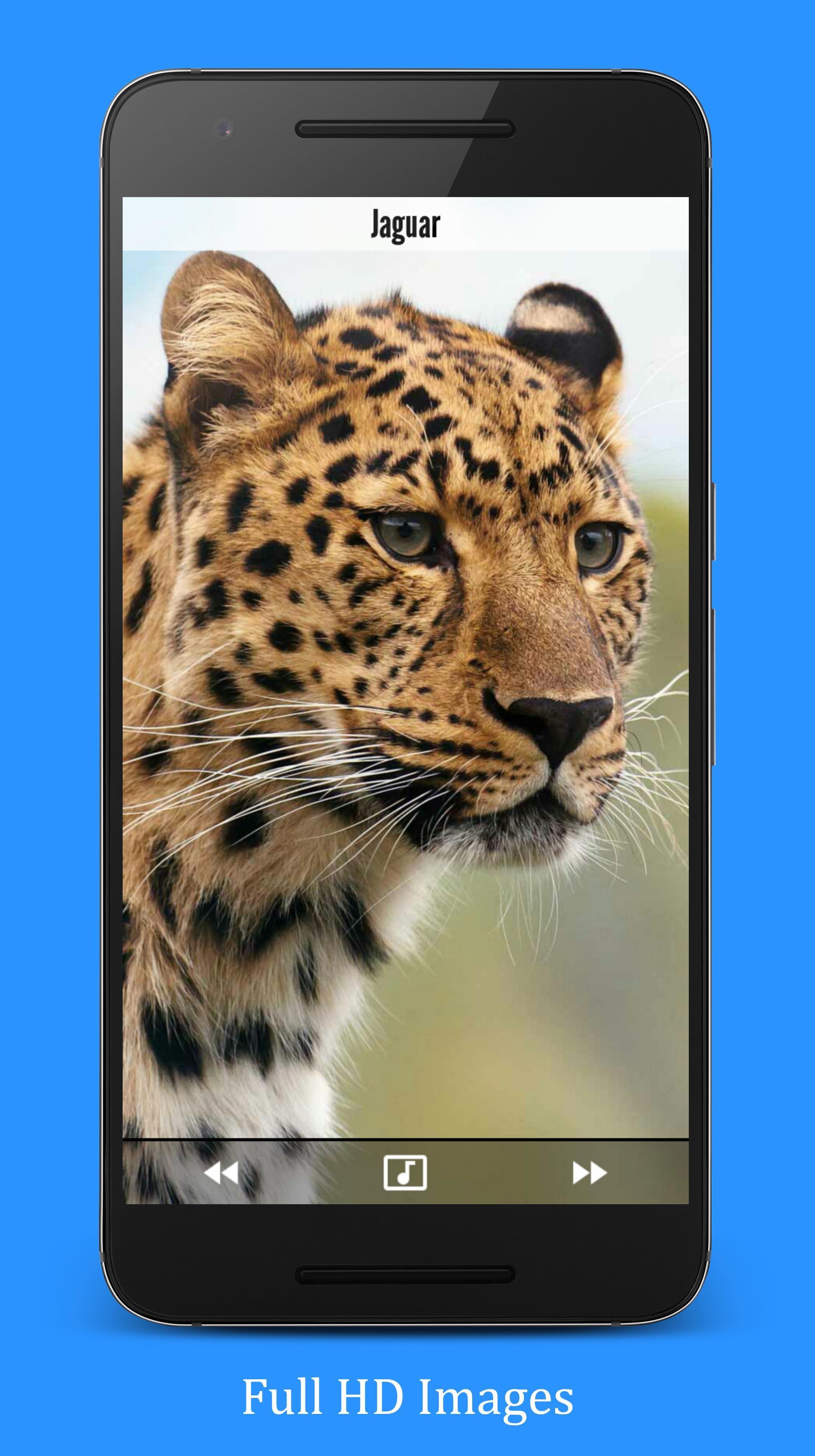 Animal Sounds APK for Android Download Animal Sounds APK for Android Download