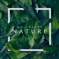 Nature Wallpaper Hd 4k Offline