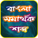 APK বাংলা সমার্থক শব্দ-Bangla Synonym