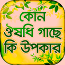 APK ঔষধি গাছের উপকার সমূহ- Herbal Medicine