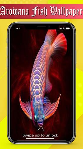 Arowana Fish Wallpaper 4k For Android Apk Download