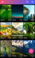 Latest Natures Wallpapers 2020 ภาพหน้าจอ 2