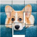 Art Sort Picture Puzzle APK