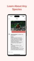 Animal Identifier: AI Scanner ảnh chụp màn hình 1