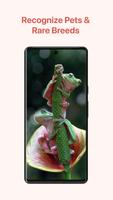 Animal Identifier: AI Scanner ảnh chụp màn hình 3