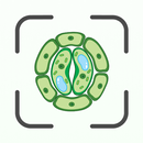Biology AI: Homework Helper APK