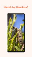 Insect Identifier: AI Scanner ảnh chụp màn hình 2