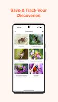 Insect Identifier: AI Scanner ảnh chụp màn hình 3