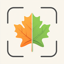 Plant Disease Diagnosis App APK
