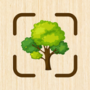 Wood Identifier: AI Scanner APK