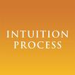 Intuition Process